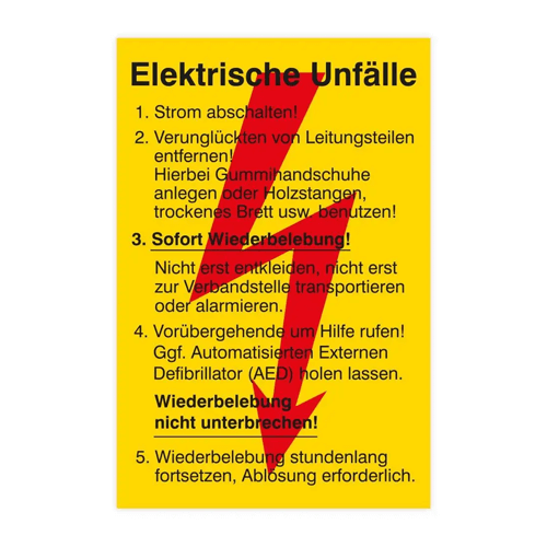 Sicherheitsaushang für Erste-Hilfe-Maßnahmen bei Unfällen mit elektrischen Geräten