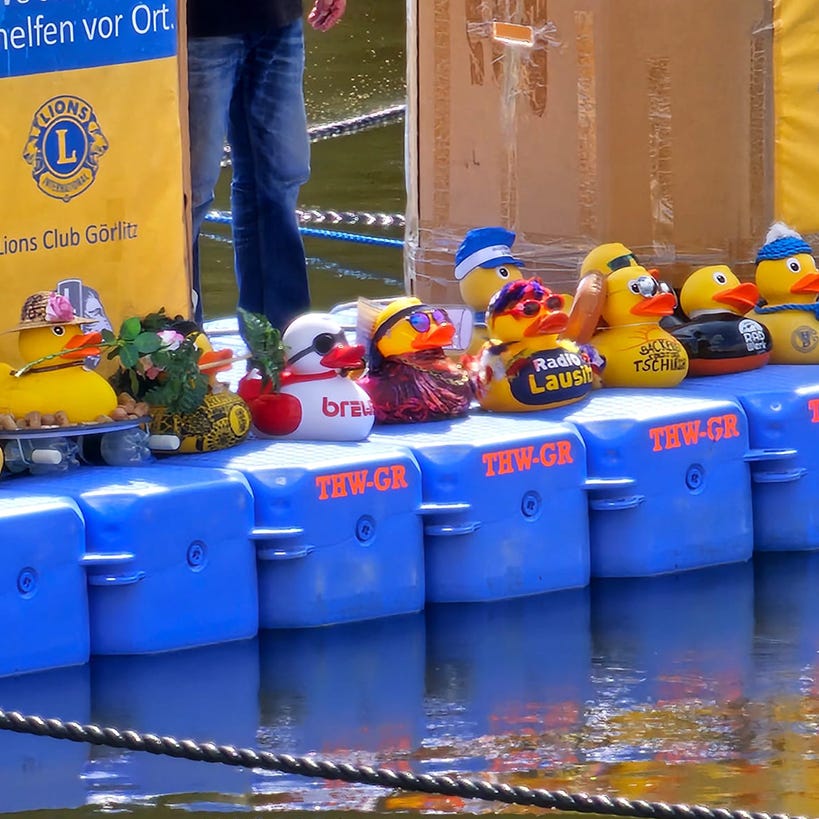 Schwimmschafcup in Görlitz