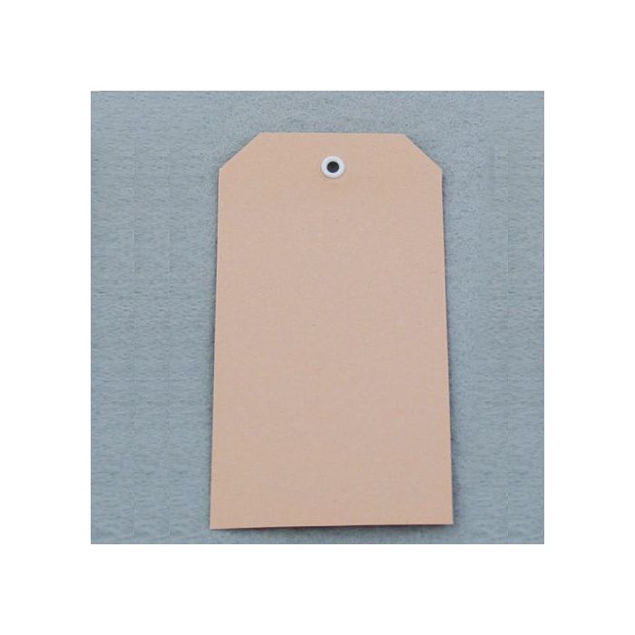 Anhängeetikett aus Pappe mit Kunststofföse, beige, 60 x 113 mm