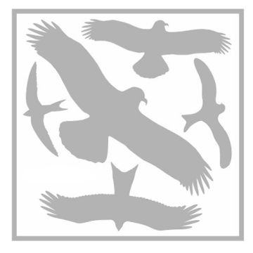 Piktogrammset für Glasflächen, 5 versch. Vögel, Aufkl. a. Bogen, Folie, 340 x 340 mm, grau