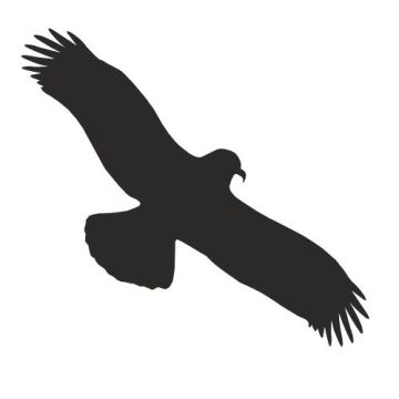 Piktogramm für Glasflächen, Vogel, Aufkleber, Folie, 195 x 75 mm, schwarz