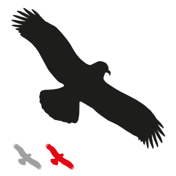 Piktogramm für Glasflächen, Vogel, Aufkleber, Folie, versch. Farben