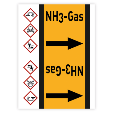 Rohrleitungsband NH3-Gas nach DIN 2403, in verschiedenen Ausführungen