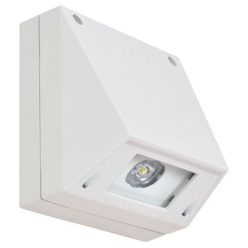 Sicherheitsleuchte Safe Mini W-F Premium Wandmontage, 3 h oder 8 h, SC, Flächenlinse