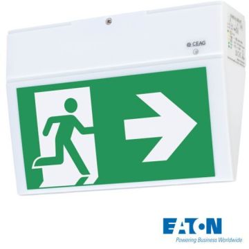 Rettungszeichenleuchte EURO X LED AT Wand- / Deckenaufbau, 3 h, 20 m