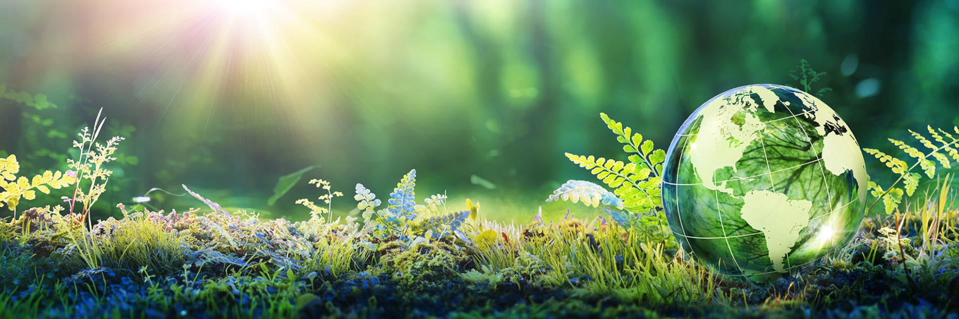 EcoVadis Nachhaltigkeits-Zertifizierung 2024: Brewes unter den Top 15%