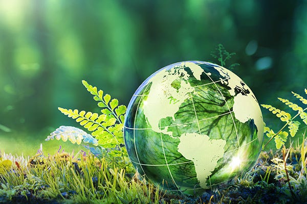 EcoVadis Nachhaltigkeits-Zertifizierung 2024: Brewes unter den Top 15%
