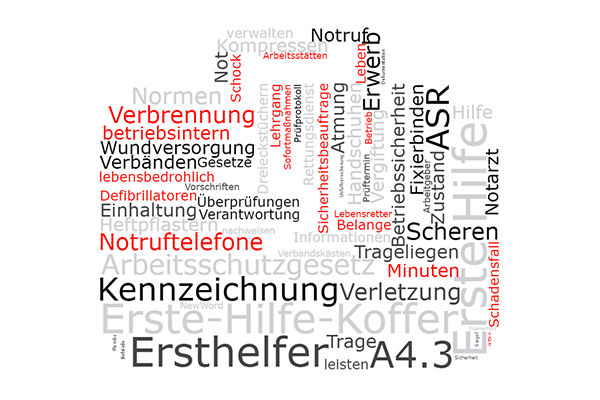 Wichtigkeit der Prüfung Erste Hilfe Material nach ASR A4.3 